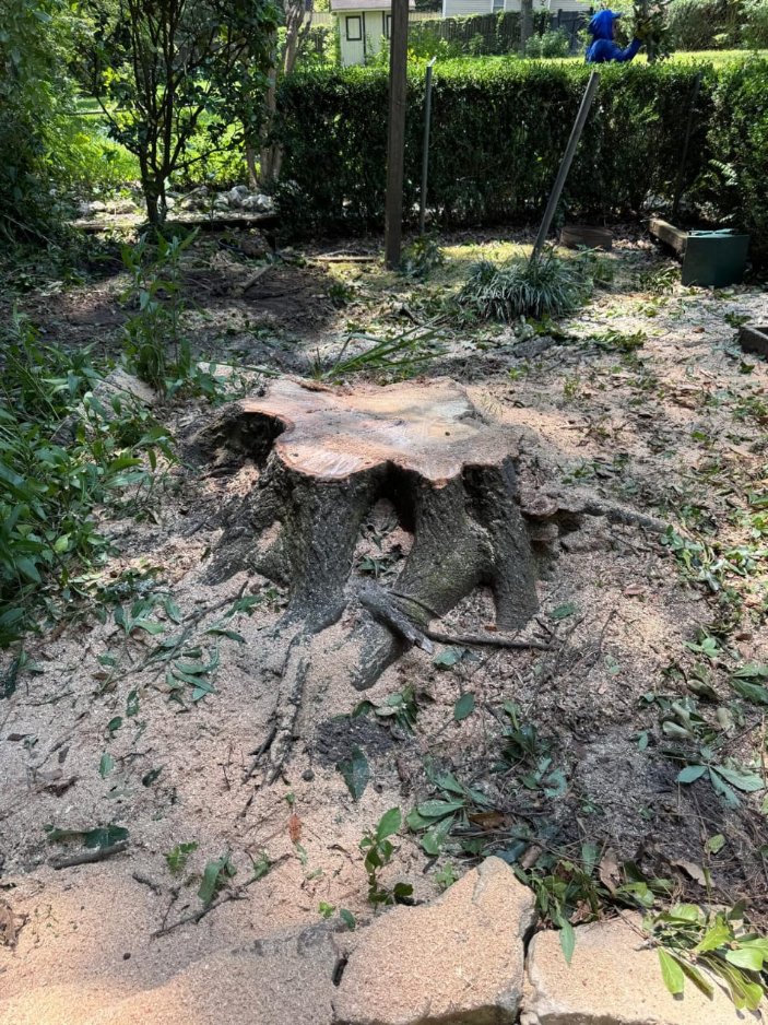 Lion Tree Service and Landscaping LLC project photo 30